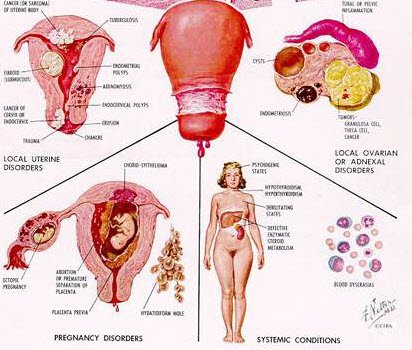 The Women's Care Clinic Lahore - Dr. Rehan Bin Asif